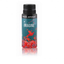 Park Avenue Imagine Deo 150 ml